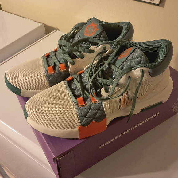 Nike Other - Nike Size 12 men Labron James Miami hurricanes color. New in the box